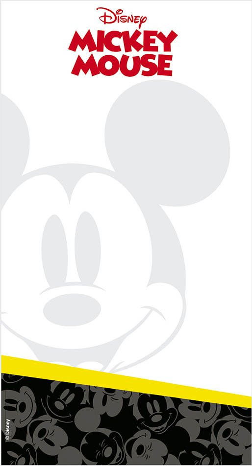 Caderno Mickey Molin