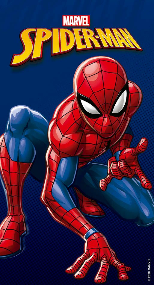 Caderno Homem-Aranha Molin